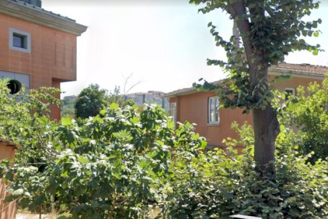 Arnavutköy Konakları- Kültür 